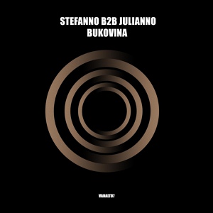 Обложка для Stefanno b2b Julianno - Bukovina