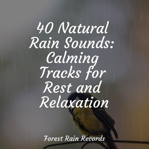 Обложка для Sons da natureza HD, Sample Rain Library, Música para Massagem Especialistas - Seagulls on the Beach (Relaxing Ocean Waves)