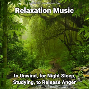 Обложка для Relaxation Music, Relaxing Spa Music, Yoga - Study Music