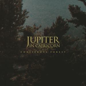 Обложка для Jupiter in Capricorn - Spruce