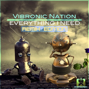 Обложка для Vibronic Nation feat. Debbiah - Everything I Need