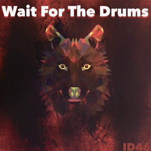 Обложка для ID46 - Wait For The Drums