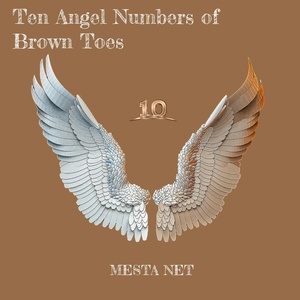 Обложка для MESTA NET - Ten Angel Numbers of Brown Toes (Speed Up Remix)
