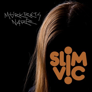 Обложка для Slim Vic feat. Plasmafuse - Fundament (Part 1)