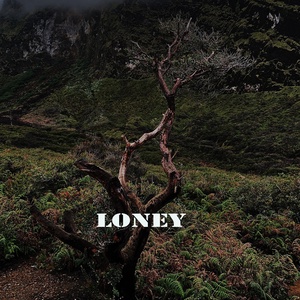 Обложка для Werewolf Beatz - Loney