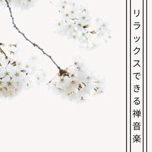 Обложка для ひかり 佐凪 - 音のホライズン