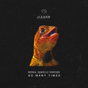 Обложка для Moska, Danielle Simeone - So Many Times (Extended Mix)