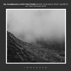 Обложка для Gil Zambrano, Into The Ether feat. Gambitt - Never Look Back