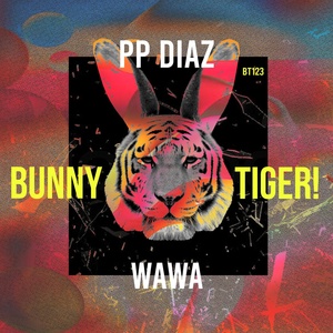 Обложка для PP DIAZ - WAWA