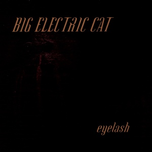 Обложка для Big Electric Cat - Crash