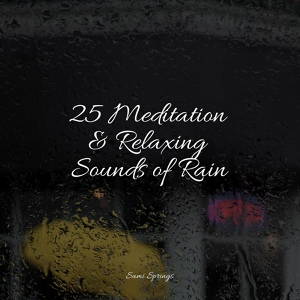 Обложка для ASMR Rain Sounds, Sleep Makers Samples, Sleepy Times - Relaxing Creek