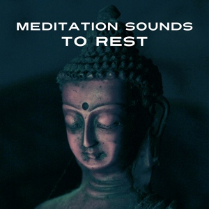 Обложка для Meditation Spa Society - Zen Meditation