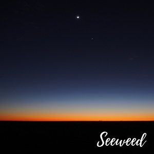 Обложка для Seeweed - Chilly Night