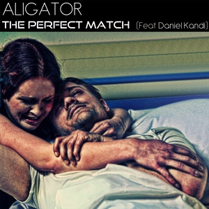 Обложка для DJ Aligator - The Perfect Match