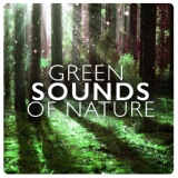 Обложка для Sounds of Nature Relaxation, Outside Broadcast Recordings - Morning Woodland