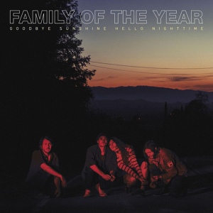 Обложка для Family of the Year - Numb