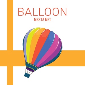Обложка для MESTA NET - Sea Gull