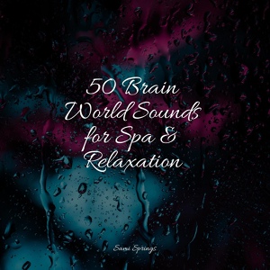 Обложка для Water Spa, Relaxing Mindfulness Meditation Relaxation Maestro, Sleep Tight - Traffic Rain