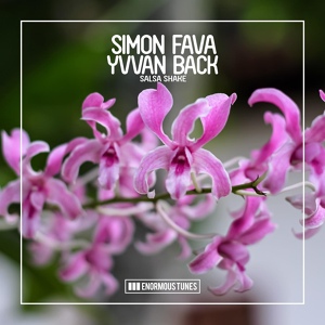 Обложка для Simon Fava, Yvvan Back - Salsa Shake