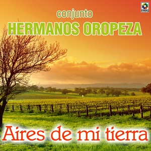 Обложка для Conjunto Hermanos Oropeza - Guariqueñita