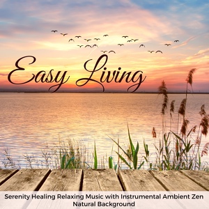 Обложка для Zen Music Garden - Secret Garden (Cello Suite)