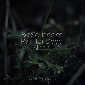 Обложка для Tinnitus, White Noise for Deeper Sleep, Nursery Rhymes - Rain, Vegetation, Wood, Heavy Wind