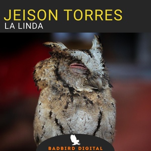 Обложка для Jeison Torres - La Linda