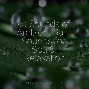Обложка для Regen, Natural Sound Makers, Rain Sounds - Forest, Birds, River Close
