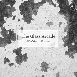 Обложка для The Glass Arcade - Wild Grass Pictures
