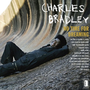 Обложка для Charles Bradley feat. Menahan Street Band - Since Our Last Goodbye