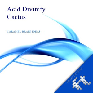 Обложка для Caramel Brain Ideas - Acid Divinity