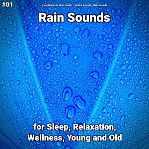 Обложка для Rain Sounds in High Quality, Nature Sounds, Rain Sounds - Inimitably Nature Sounds of Rain