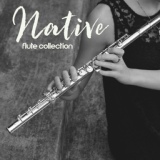 Обложка для Native American Music Consort - Native Flute and Nature Ambient