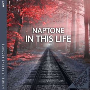 Обложка для Naptone - In This Life
