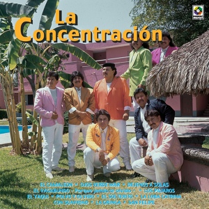 Обложка для Grupo la Concentración - Los Pajaros