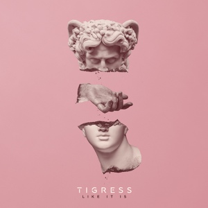 Обложка для Tigress - Power Lines