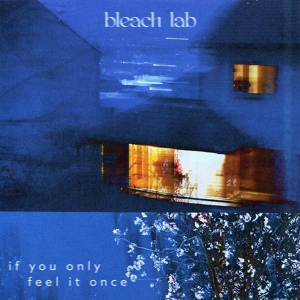 Обложка для Bleach Lab - Obviously