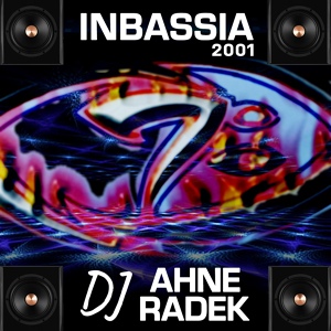 Обложка для Pavlína Ahneová feat. DJ Ahne Radek - Disasters