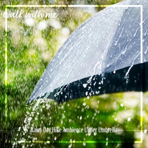 Обложка для Daniel Dodik - Rainy Day Hike Ambience Under Umbrella, Pt. 14