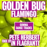 Обложка для Golden Bug - Flamingo (Pete Herbert Remix)