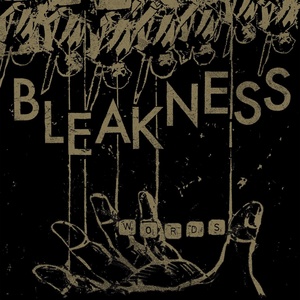 Обложка для Bleakness - Words