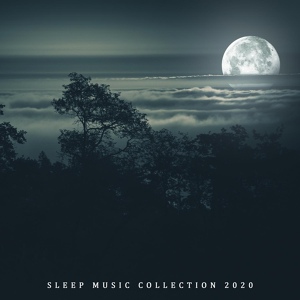 Обложка для Trouble Sleeping Music Universe - Peace and Quiet