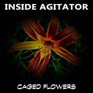 Обложка для Inside Agitator - Dreamtime