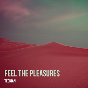 Обложка для Teckian - Feel the Pleasures