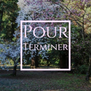 Обложка для Django Reinhardt - Pour Terminer