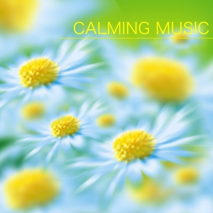Обложка для Calming Music Academy - Calming Music Idea