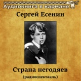 Обложка для Аудиокнига в кармане, Алексей Кузнецов - Страна негодяев, Чт. 5