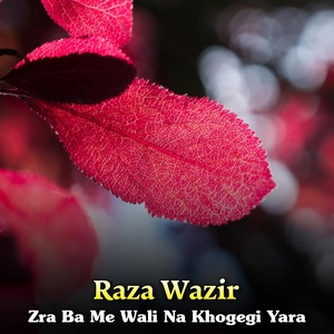 Обложка для Raza Wazir - Tiareka Wa