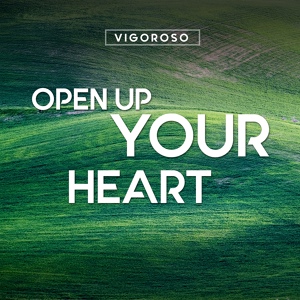 Обложка для Vigoroso - Open Up Your Heart