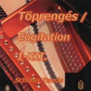 Обложка для Schtudioton Musical Workshop - Töprengés III.